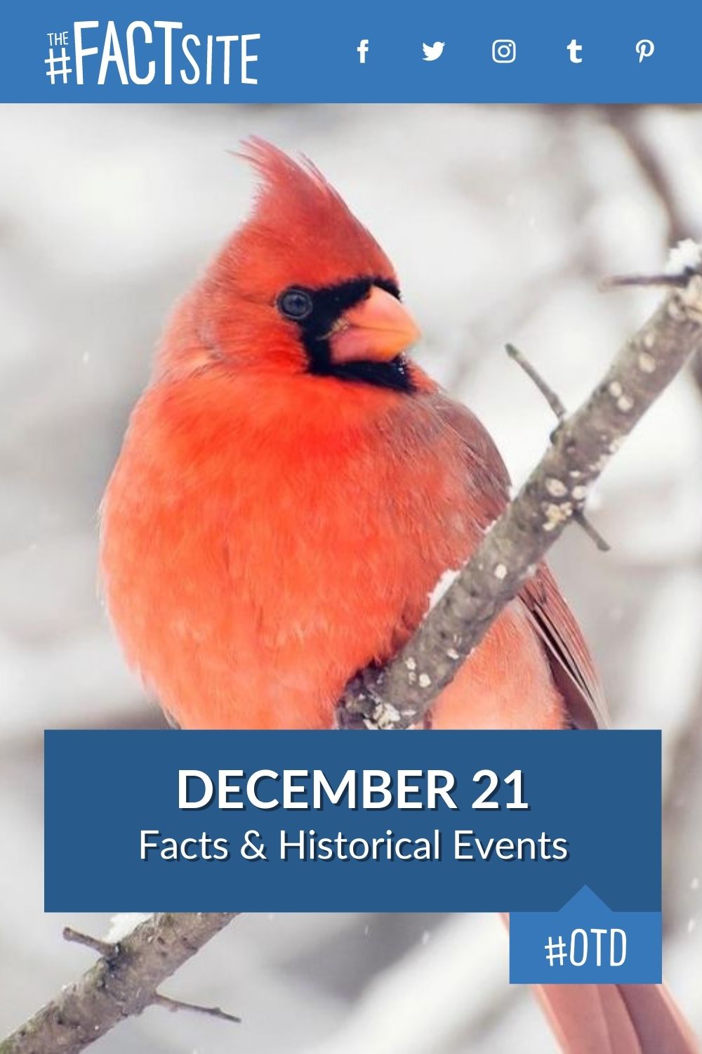 December 21 Facts Historical Events On This Day The Fact Site